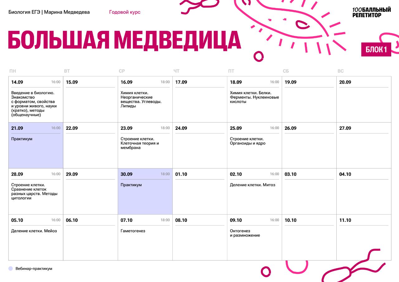 Расписание курса «Большая медведица - годовой курс для подготовки к ЕГЭ по биологии с Мариной Медведевой»